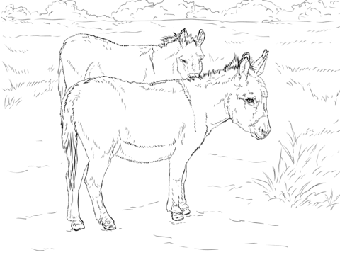 Two Donkeys Coloring Page